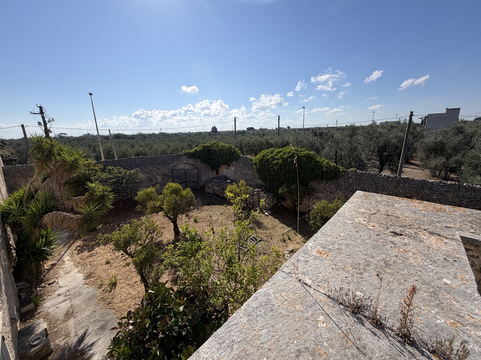 Tidligere kloster fra 1300-tallet med hager og terrasser i Giovinazzo — 3