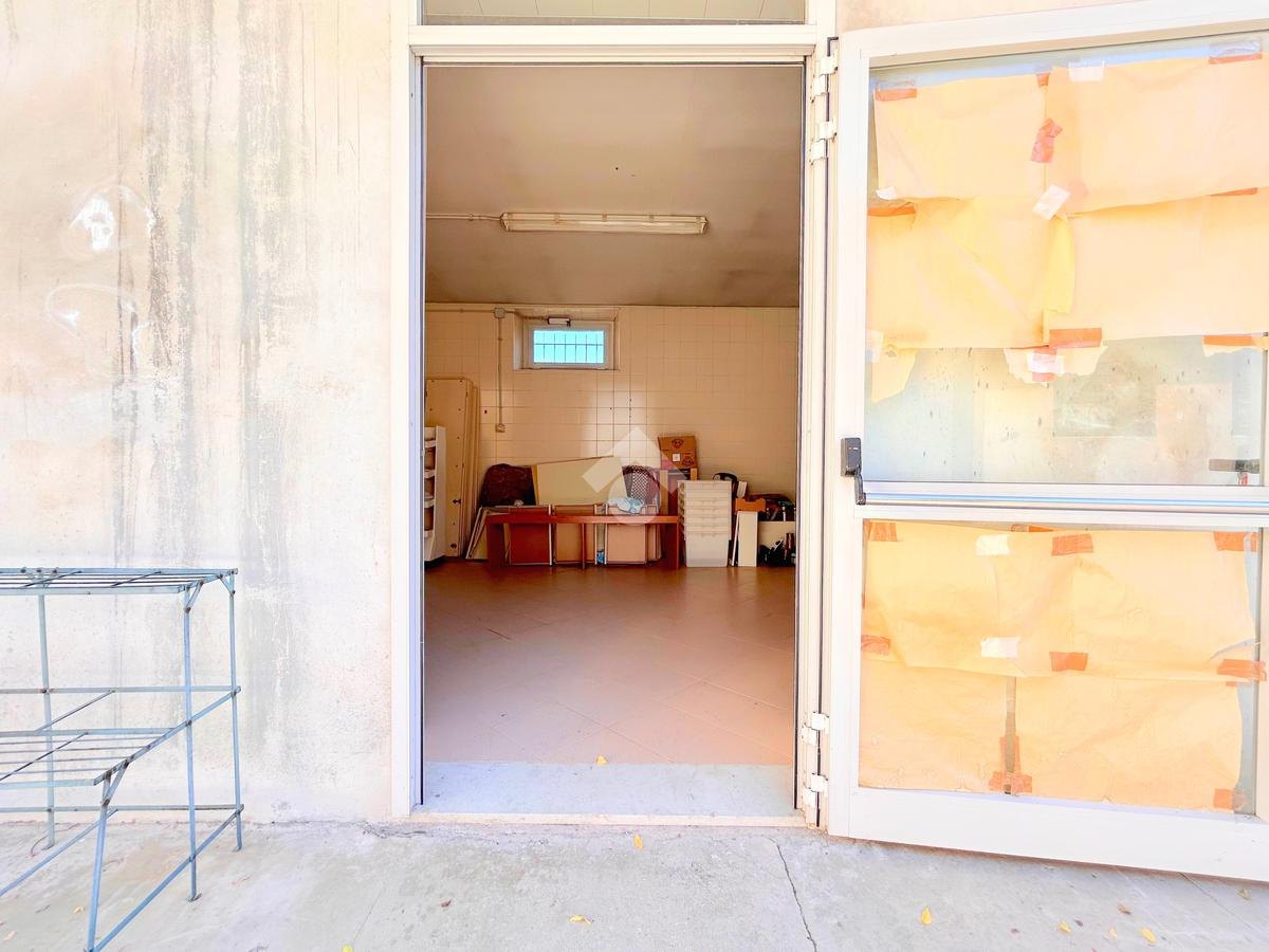 Property in Basiliano — 4